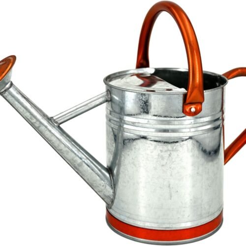 Galvanized Steel Watering Can with Removable Spout